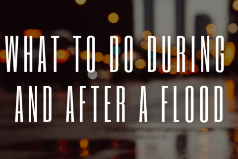 Before and after flood